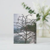 Hawaiian Ocean Beach Tree Foto View Postkarte (Stehend Vorderseite)