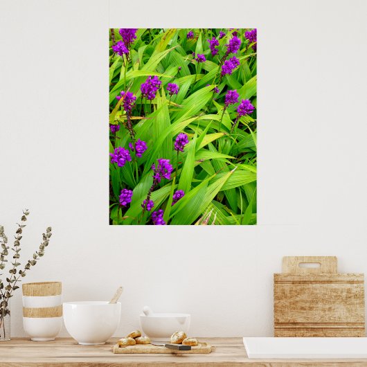 Hawaiian Orchids Poster (Küche)