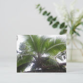Hawaiian Palm Tree Nah Postkarte (Stehend Vorderseite)
