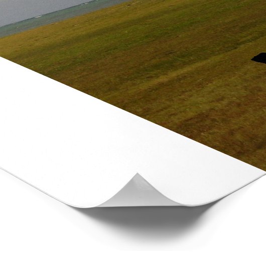 Hawaiian Palm Tree Poster (Ecke)