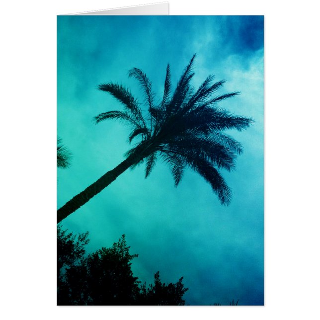 Hawaiian Palm Trees (Vorne)