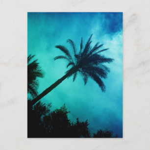 Hawaiian Palm Trees Postkarte