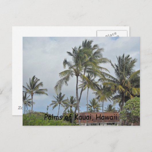 Hawaiian Palm Trees Postkarte (Vorne/Hinten)