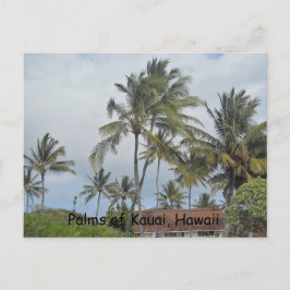 Hawaiian Palm Trees Postkarte