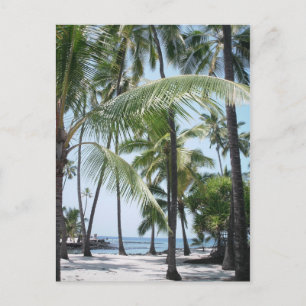 Hawaiian Paradise Postcard Postkarte