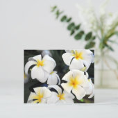 Hawaiian Plumeria Cascade Postcard Postkarte (Stehend Vorderseite)