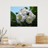 Hawaiian Plumeria Poster (Küche)