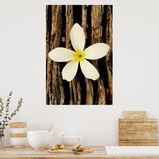 Hawaiian Plumeria Statement Piece Poster (Küche)