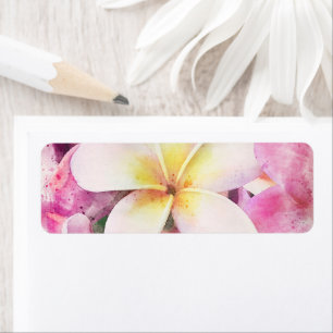 Hawaiian Plumeria Tropical Floral Water color