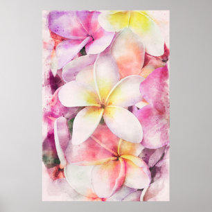 Hawaiian Plumeria Tropical Floral Water color Poster
