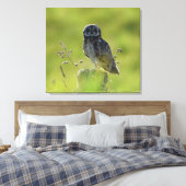 Hawaiian Pueo Leinwanddruck (Insitu (Schlafzimmer))