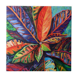 Hawaiian Rainbow Croton Pflanze Keramik Tile Fliese