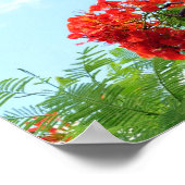 Hawaiian Red Floral Print Poster (Ecke)