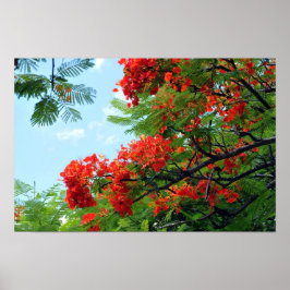 Hawaiian Red Floral Print Poster