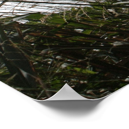 Hawaiian Seascape Poster (Ecke)