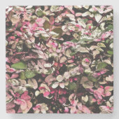 "HAWAIIAN SNOWBUSH" /PINKS, GRÜNTÖNE UND WEISSE STEINUNTERSETZER (Vorderseite)