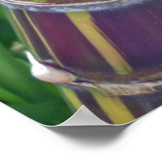 Hawaiian Sugar Cane Poster (Ecke)