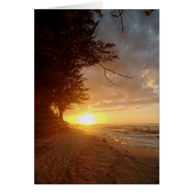 Hawaiian Sunset (Vorne)