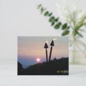 Hawaiian Sunset Luau Gifts Postkarte (Stehend Vorderseite)