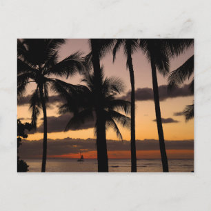 Hawaiian Sunset Postkarte