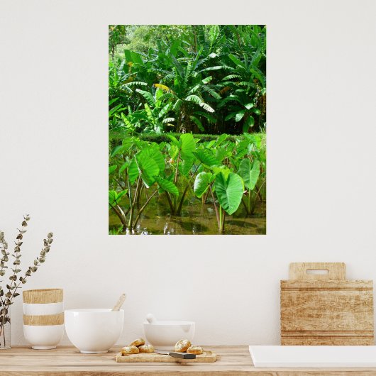 Hawaiian Taro Patch Poster (Küche)