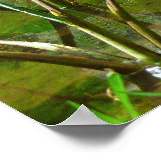 Hawaiian Taro Patch Poster (Ecke)