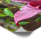 Hawaiian Ti Pflanze Poster (Ecke)