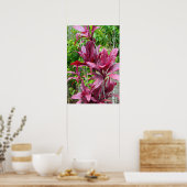 Hawaiian Ti Pflanze Poster (Küche)