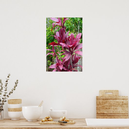 Hawaiian Ti Pflanze Poster (Küche)