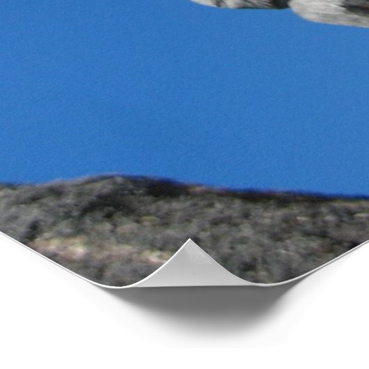 Hawaiian Tiki Gods Poster (Ecke)