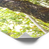 HAWAIIAN TIKIS POSTER (Ecke)