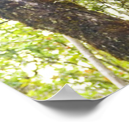 HAWAIIAN TIKIS POSTER (Ecke)