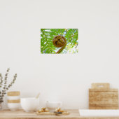 Hawaiian Tree Fern Frond Unfurling Poster (Küche)