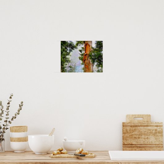 Hawaiian Trees Poster (Küche)