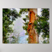 Hawaiian Trees Poster (Vorne)