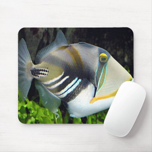 Hawaiian Tropical Fish Mousepad (Mit Mouse)