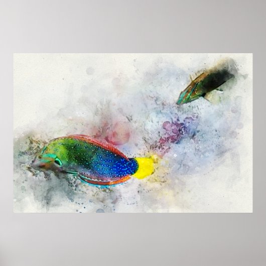 Hawaiian Tropical Fish Watercolor - Wrasse Poster (Vorne)