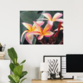 Hawaiian Tropical Plumeria Poster (Heimbüro)