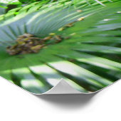 Hawaiian Tropical Rain Forest Poster (Ecke)