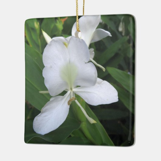 Hawaiian White Ginger Blume Keramikornament (Links)