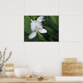 Hawaiian White Ginger Blume Poster (Küche)