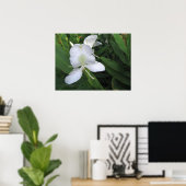Hawaiian White Ginger Blume Poster (Heimbüro)