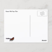 Hawaiian White Ginger Blume Postkarte (Rückseite)