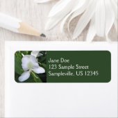 Hawaiian White Ginger Flower (Insitu)