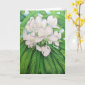 Hawaiian White Ginger Karte (Gelbe Blume)