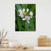Hawaiian White Ginger Poster (Küche)