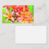 Hawaiian white plumeria flower pink visitenkarte (Vorne/Hinten)