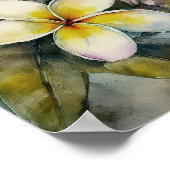 Hawaiian Yellow Plumeria Poster (Ecke)