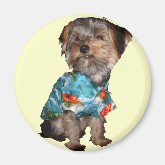 Hawaiian Yorkie Magnet (Vorne)