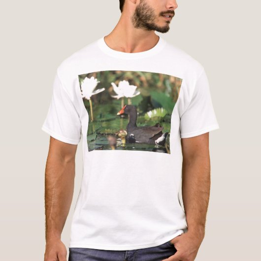 Hawaiianer-Common Moorhead T-Shirt (Vorderseite)